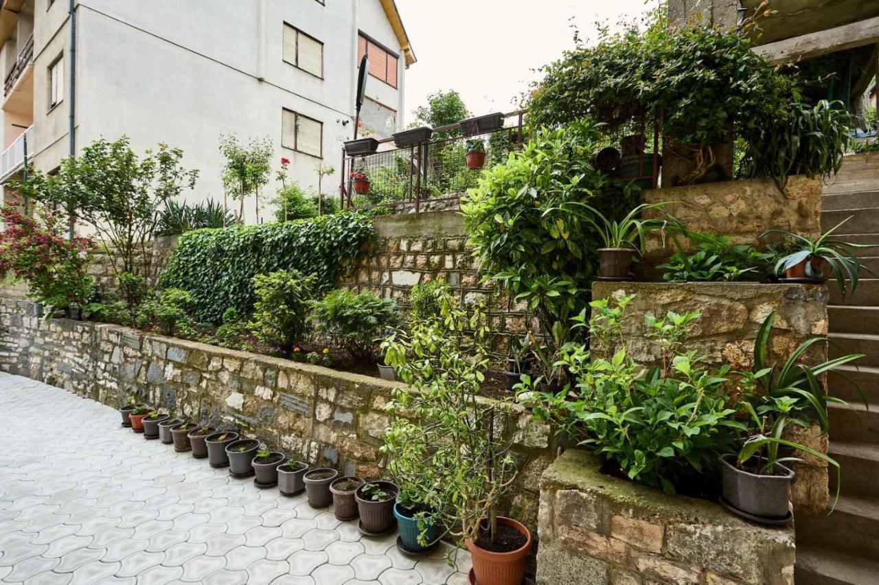 Apartmani Dr. Gasa Soko Banja Εξωτερικό φωτογραφία